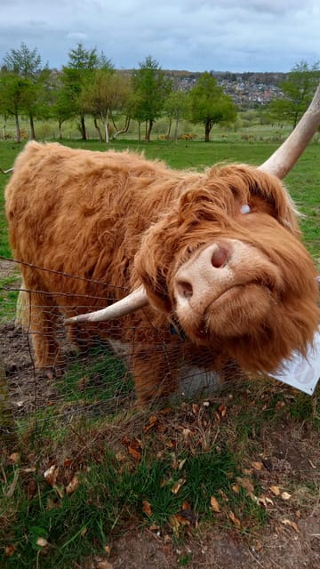 Edinburgh: Hill & Nature Hike With a Local - Moorland, lochs, and the Highland feel
