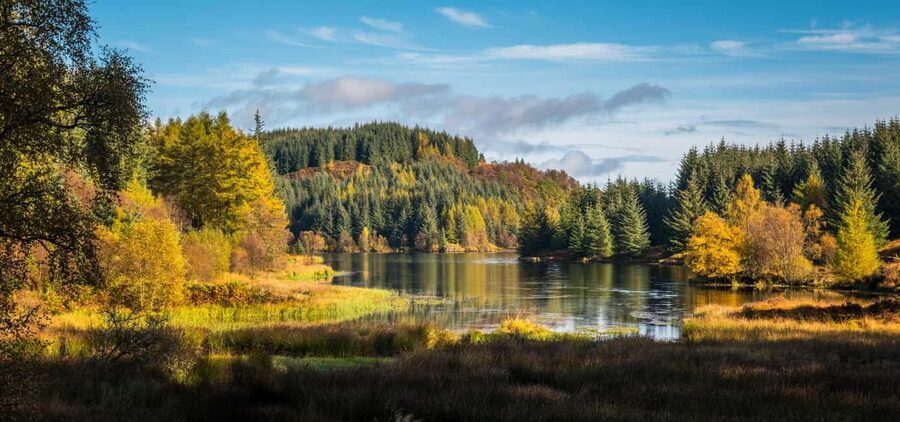 Edinburgh: Loch Lomond, Stirling Castle, and Kelpies Tour - Lunch in Aberfoyle and the road through the Trossachs