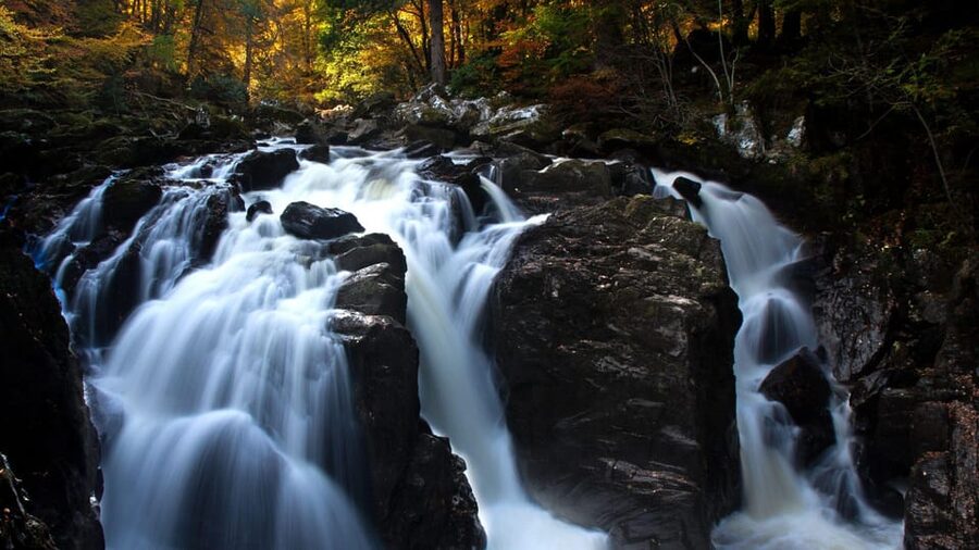 Edinburgh: Loch Ness, Scenic Walk, Glencoe & Whisky Day Tour - Loch Lomond, the Trossachs, and Highland cows