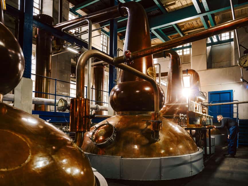 Edinburgh to Scottish Highlands: Whisky, Views & Hairy Coos - Key points at a glance