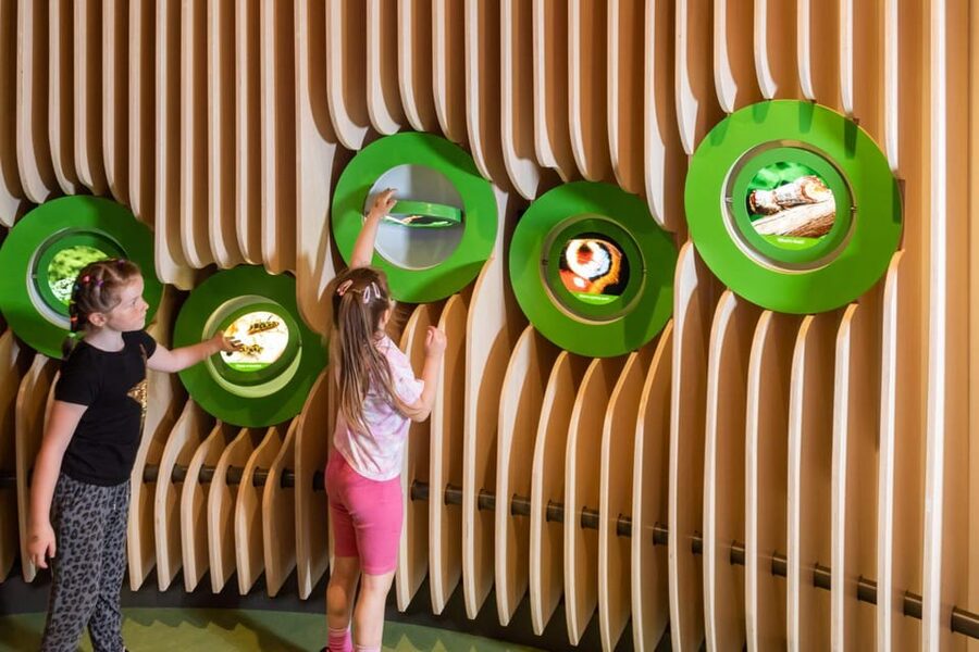 Eureka! Science + Discovery Centre Day Ticket - Accessibility and family comfort