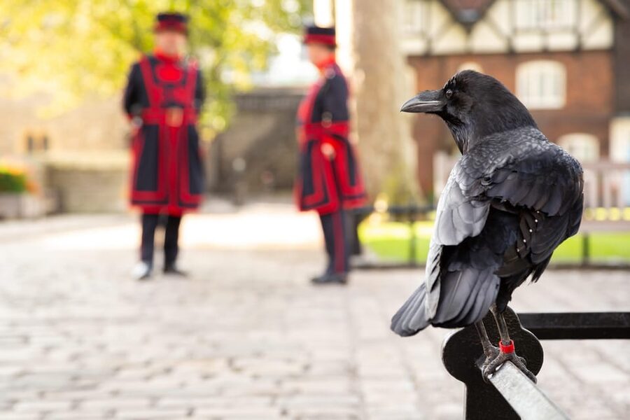 Exclusive Beefeater Meet & Greet at the Tower of London - Should you book the Beefeater Meet and Greet?