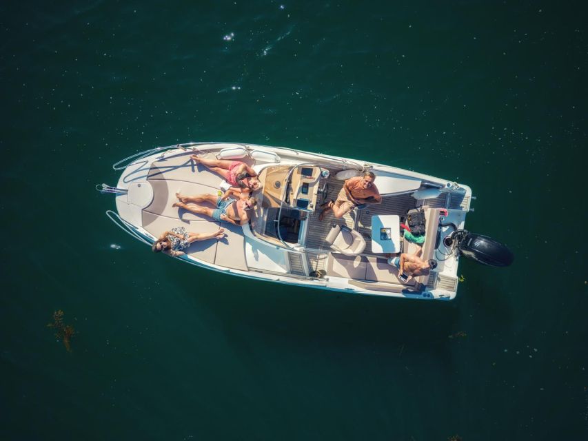 Falmouth Bay, Cornwall: Private Skippered Speed Boat Trip - Swimming, wildlife and time for photographs