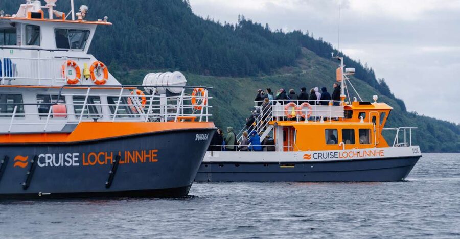Fort William: Seal Spotting Loch Linnhe Cruise - Wildlife beyond the seals