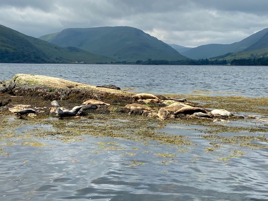 Fort William: Seal Spotting Loch Linnhe Cruise - Comfort, weather, and the boat itself
