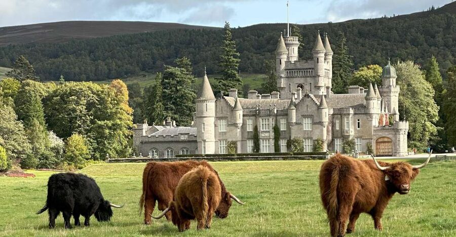 From Aberdeen: Balmoral Estate & Royal Deeside Tour - Timing, comfort, and what to pack