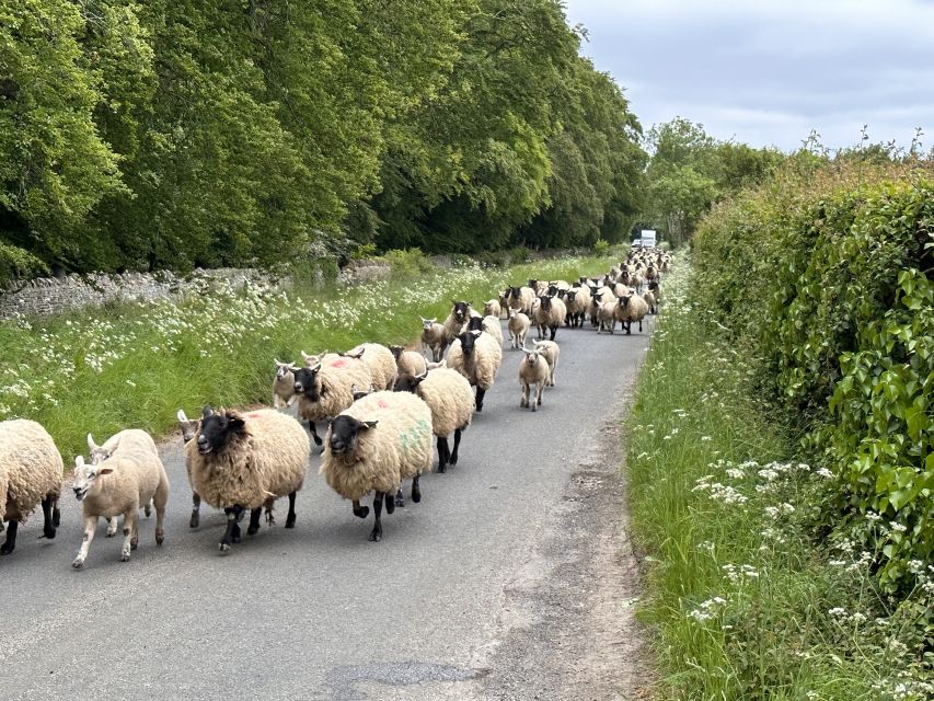 From Bath: Cotswolds Private Day Tour with Pickup - Tetbury, shops, and market-town character