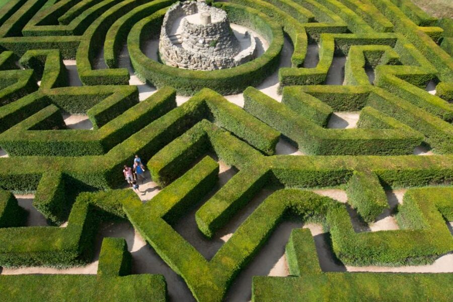 From Brighton: Leeds Castle & Canterbury Full-Day Trip - Free time that lets you set your own pace