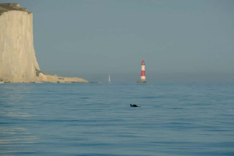 From Brighton: Seven Sisters Boat Tour - Arriving beneath the Seven Sisters Cliffs