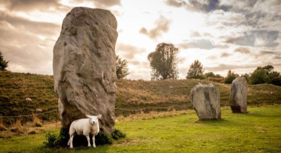 From Bristol: Stonehenge and Cotswold Villages Day Tour - What the minibus ride is really like