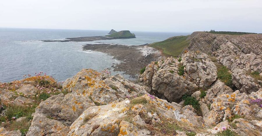 From Cardiff: Mumbles and Gower Peninsular Tour - Key points to know before booking