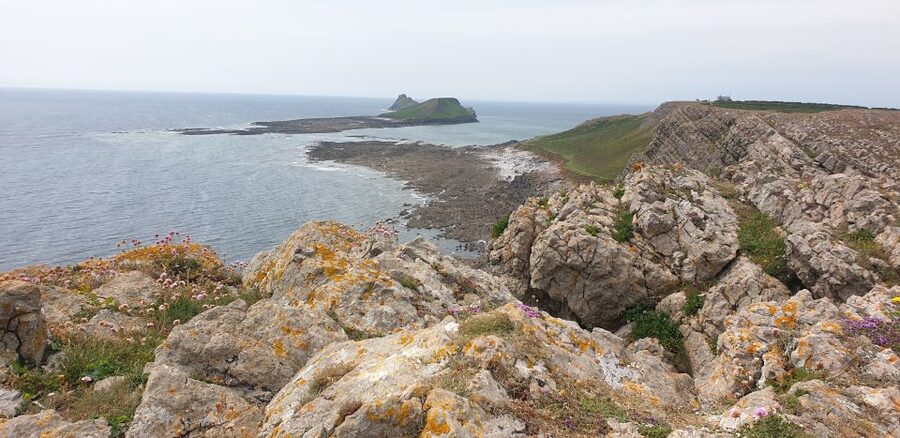 From Cardiff: Mumbles and Gower Peninsular Tour - Should you book the Mumbles and Gower tour?