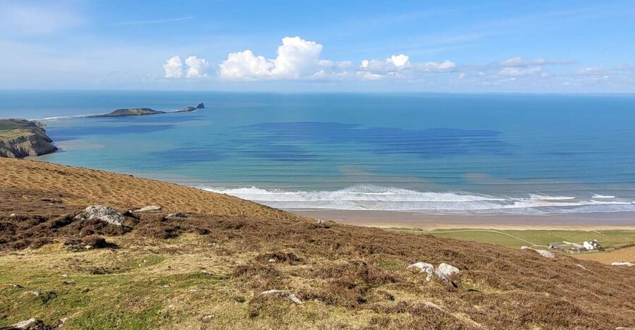 From Cardiff: The Wandering Bard's Swansea Bay Day Tour - From Cardiff to Swansea Bay with Gareth