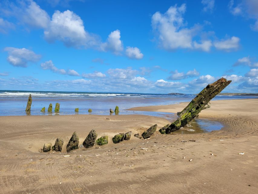 From Cardiff: The Wandering Bard's Swansea Bay Day Tour - Weather, comfort, and who will enjoy it