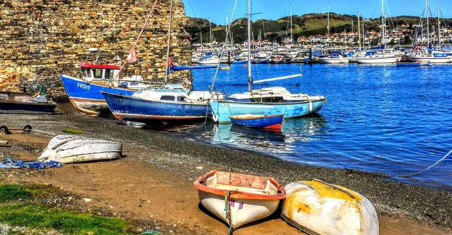 From Chester: Full-Day Guided North Wales Sightseeing Tour - Who should book this day trip?