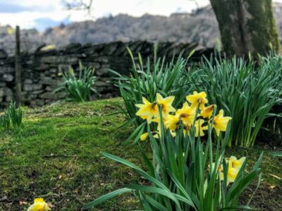 Lake District Full-Day Guided Sightseeing Tour