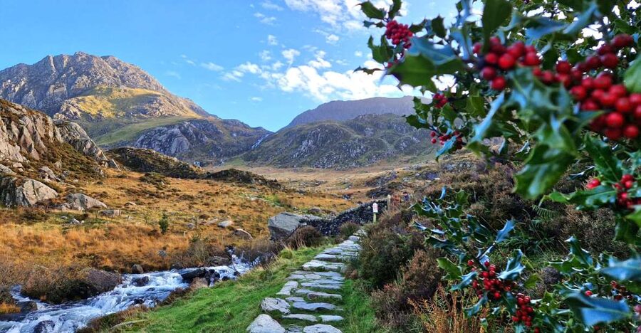 From Chester: North Wales and Caernarfon Castle Tour - Why this North Wales route works in one day