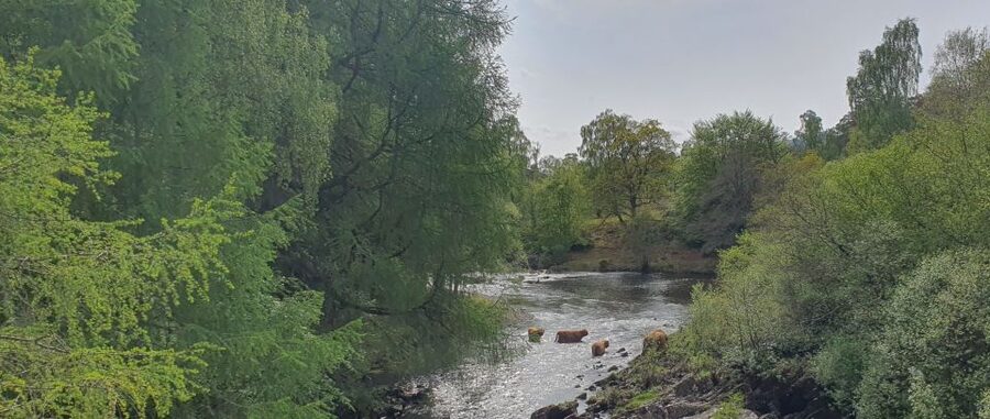 From Edinburgh: a Private Tour to a Majestic Highland Glen - Stirling’s castle, bridge, and crowned king