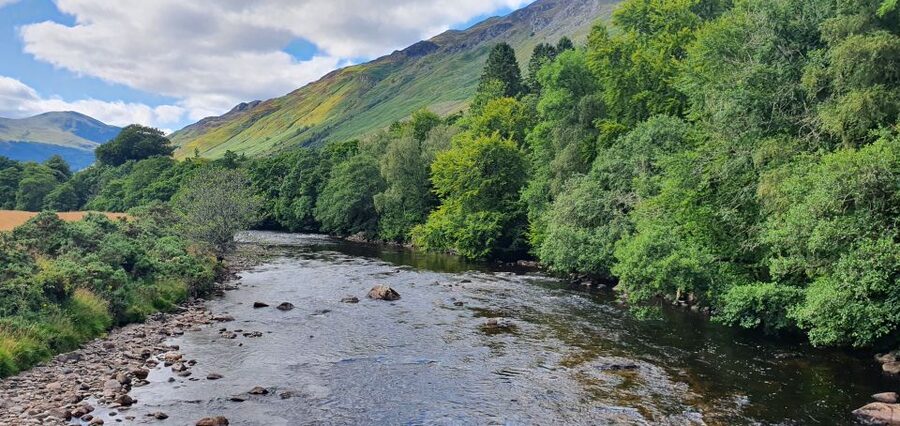 From Edinburgh: a Private Tour to a Majestic Highland Glen - Ancient trees, birch woods, and a steep optional walk