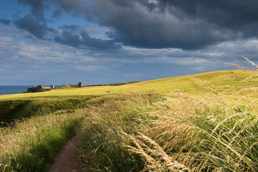 From Edinburgh: Glamis and Dunnottar Castles Tour in Italian - Key points to know before booking