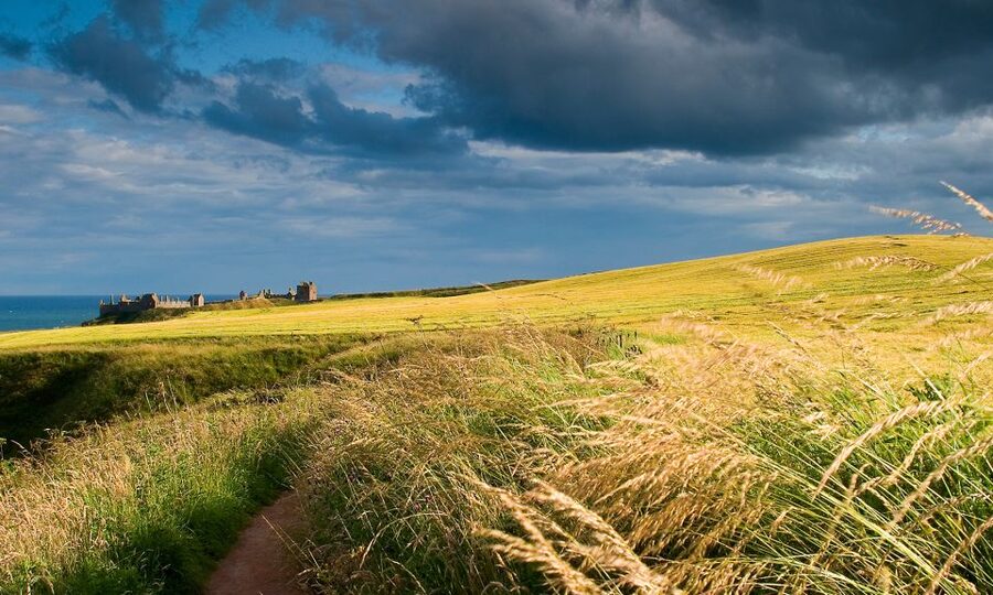 From Edinburgh: Glamis and Dunnottar Castles Tour in Spanish - Dunnottar Castle above the Scottish coast