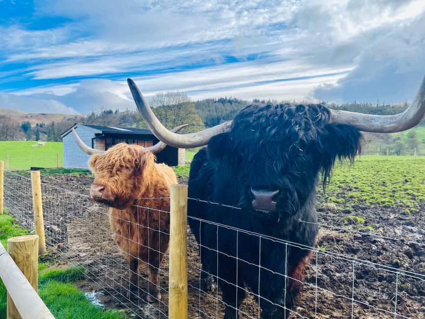 From Edinburgh: Loch Ness, Glencoe & The Highlands Day Trip - Passing Linlithgow, the Kelpies and Stirling Castle
