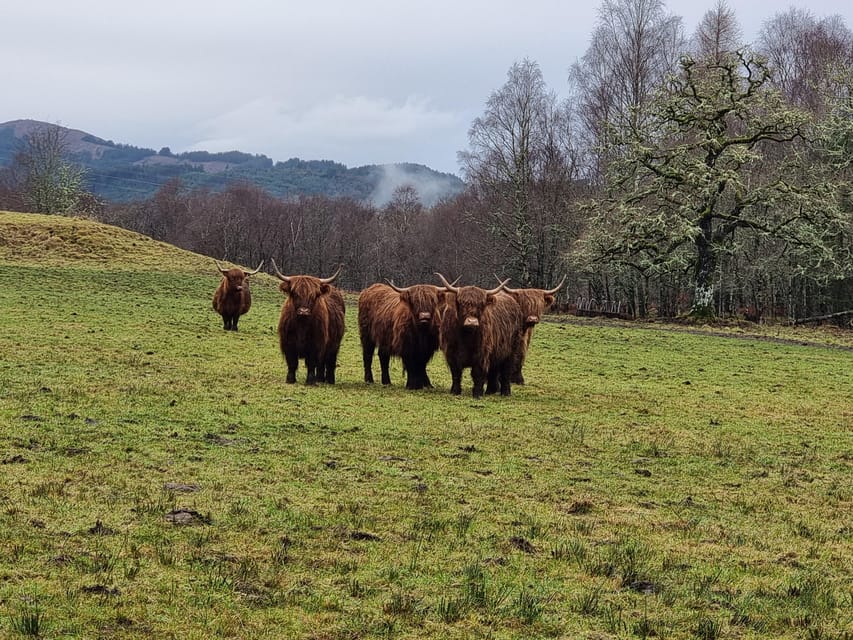 From Edinburgh: Loch Ness Private Day Tour with Transfers - Key points to know before booking