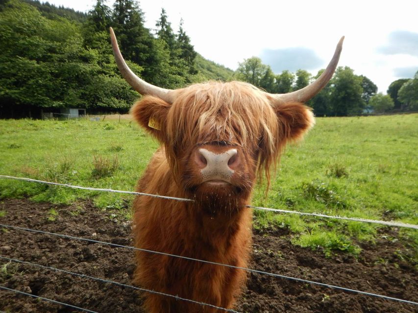 From Edinburgh: Orkney, Skye and the Far North 8 Day Tour - Day 4: Eilean Donan, Loch Ness, and Inverness