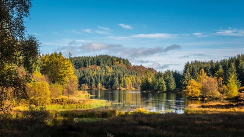 From Edinburgh: Stirling Castle, Kelpies and Loch Lomond - Stirling Castle and Scotland’s heroes