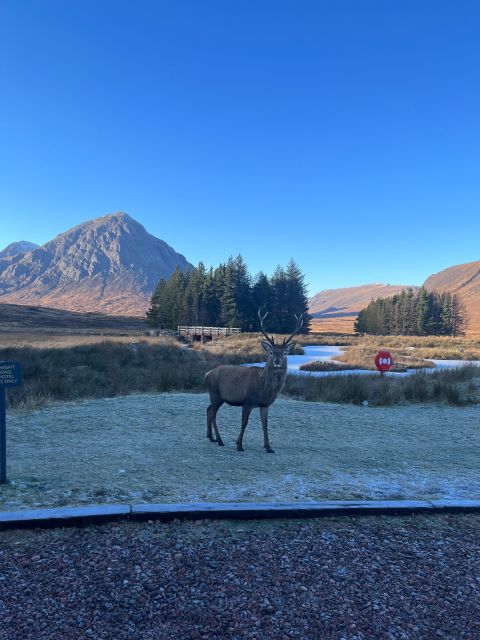 From Edinburgh: The Kelpies, Glencoe & Loch Lomond Day Tour - Glencoe: film scenery with a serious story