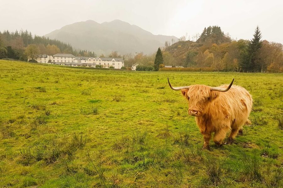 From Glasgow: Loch Lomond, Trossachs & Stirling Castle Tour - Lunch in Aberfoyle