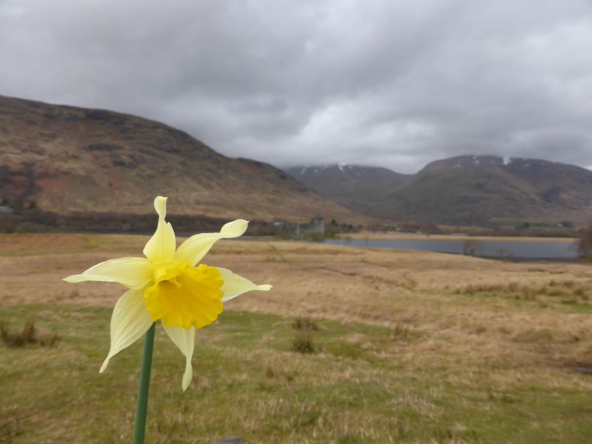 From Glasgow: Scottish Highlands & Isle of Skye 5-Day Tour - Day three: a full day among Skye’s mountains and coast