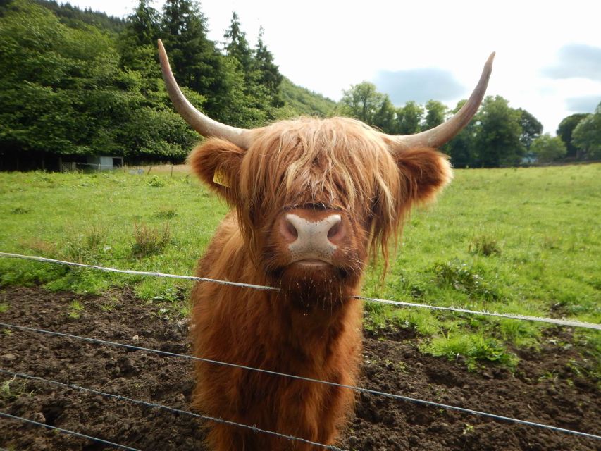 From Glasgow: Scottish Highlands & Isle of Skye 5-Day Tour - Day five: Culloden, the Cairngorms and Pitlochry