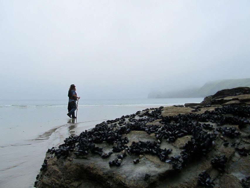 From Glastonbury: 2-Day Tintagel, Boscastle & Dartmoor Tour - Overnight in Tintagel