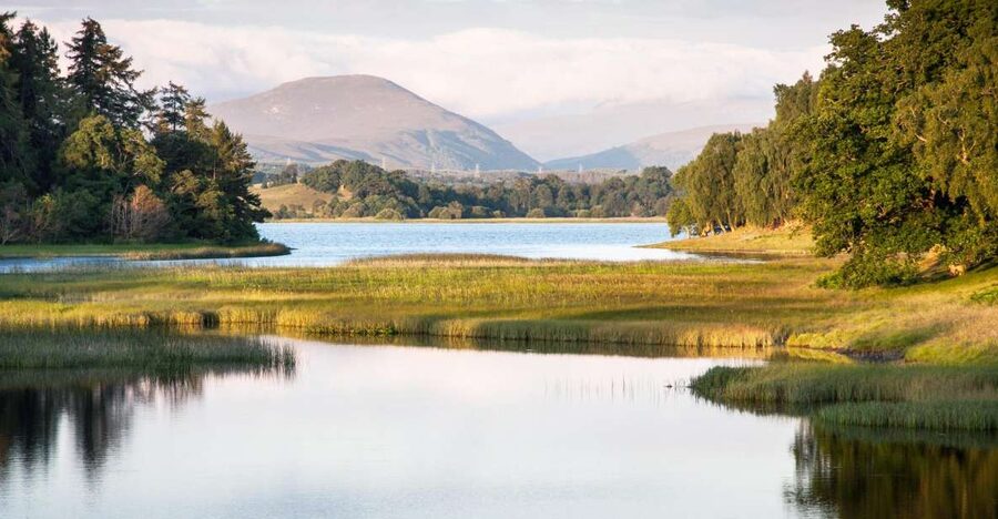 From Inverness: Cairngorms National Park and Whisky Tour - Why this Cairngorms day trip works