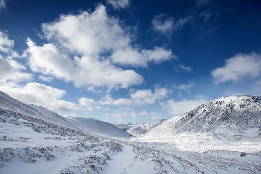 From Inverness: Cairngorms National Park and Whisky Tour - Meeting the minibus on Ardross Street