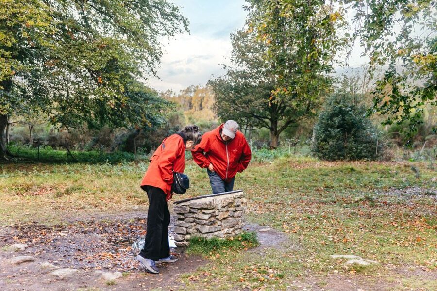 From Inverness: Glen Affric, Culloden, and Clava Cairns Tour - Key points to know before booking
