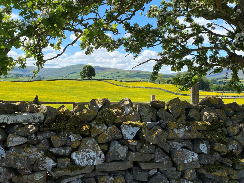 From Lake District: Full-Day Yorkshire Dales Tour - Open views across the Yorkshire Dales