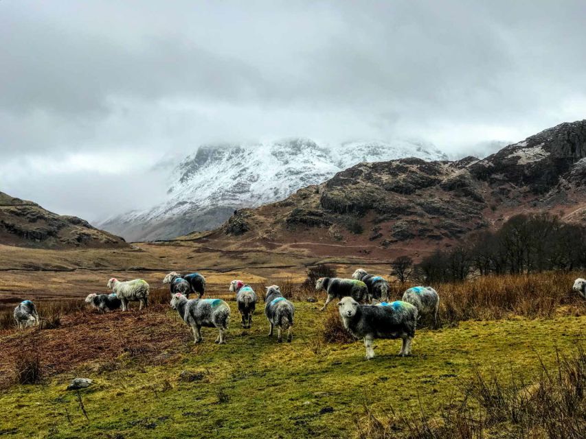From Liverpool: Lake District Sightseeing Adventure Day Trip - Grasmere, Wordsworth, and traditional gingerbread