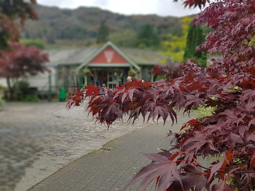 From Liverpool: Lake District Sightseeing Adventure Day Trip - Value, pace, and what is not included