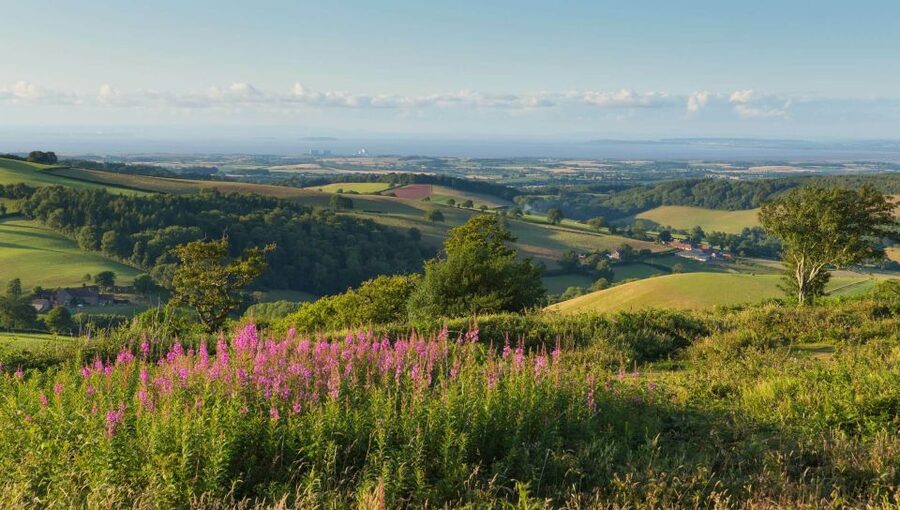 From London: Canterbury & White Cliffs of Dover Tour - Key points to know before booking