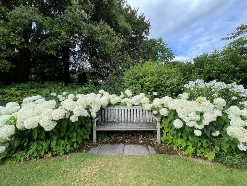 From London: Day Trip to Downton Abbey, Oxford and Bampton - Should you book this Downton Abbey day trip?