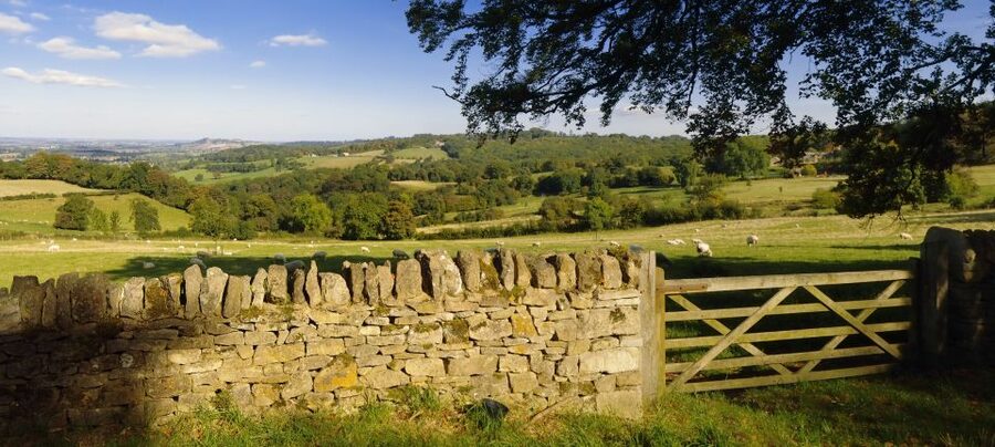 From London: Full-Day Cotswolds Small-Group Tour - What the guide adds to the day