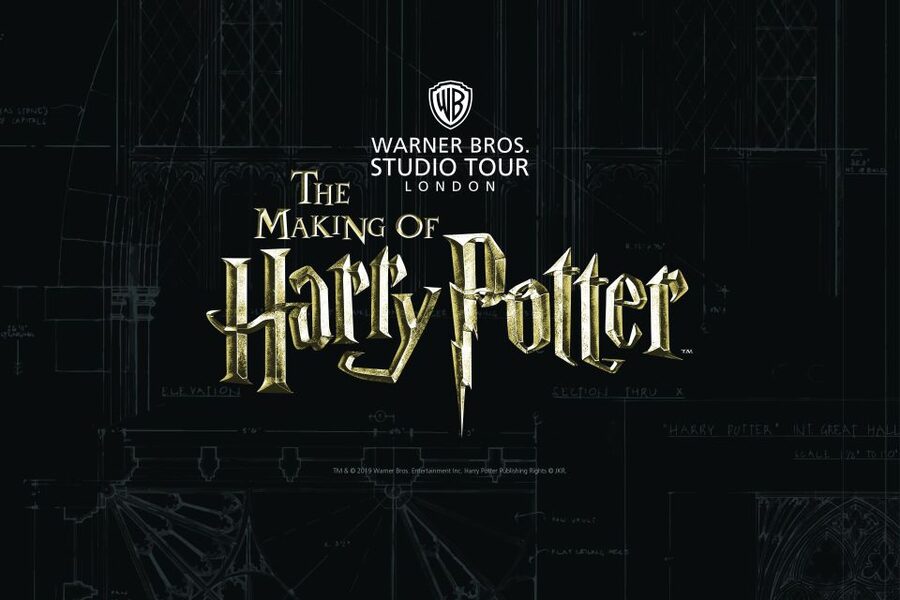 From London: Harry Potter Family Package with Transfers - Leaving London from Victoria