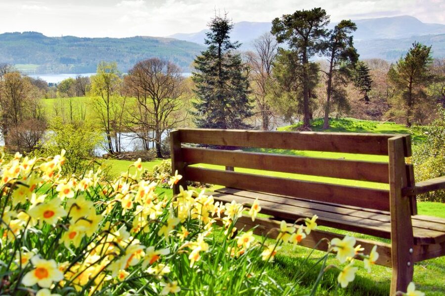 From London: Lake District Tour with Cream Tea & Cruise - The one-hour Windermere cruise