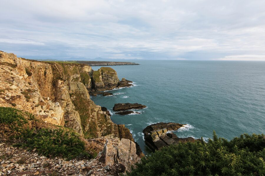 From London: North Wales, Snowdonia & Caernarfon Castle Tour - The road through Eryri National Park