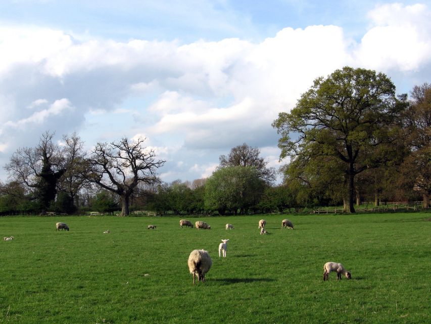 From London: Oxford, Stratford-upon-Avon & Cotswolds Trip - The Pace, Walking, and Mobility Question