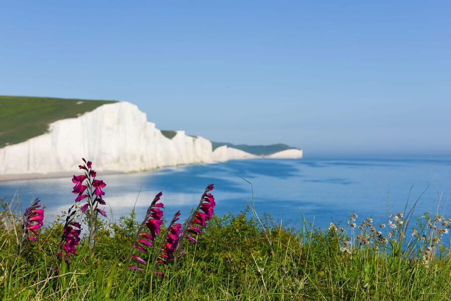 From London: Seven Sisters and Brighton Full-Day Tour - Birling Gap and the first Seven Sisters view