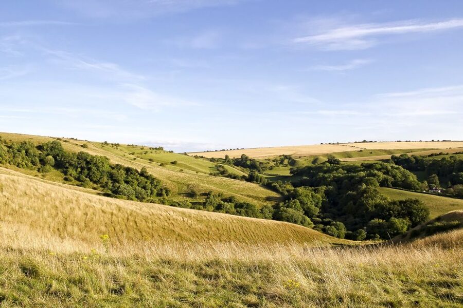 From London: Stonehenge and Bath Day Trip with Ticket - Value at $114 per person