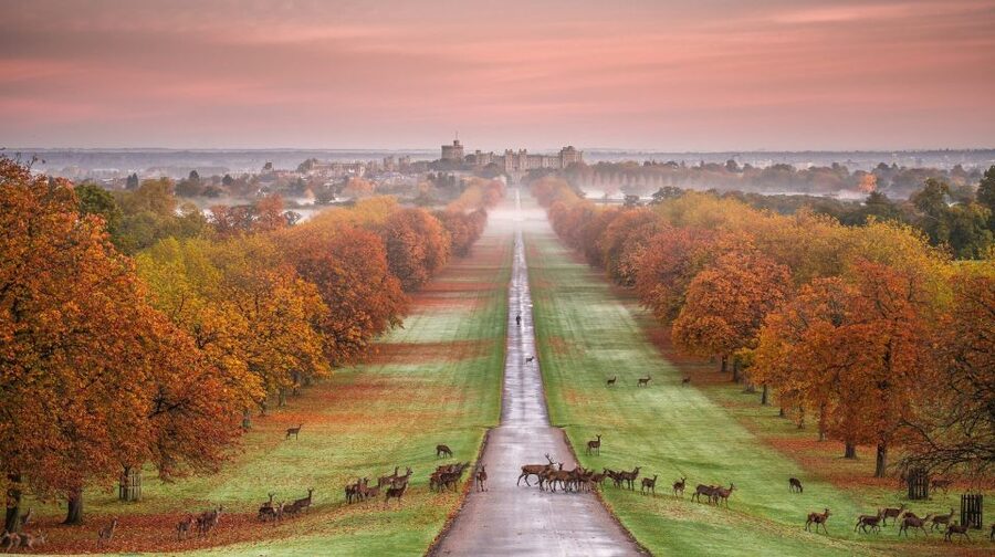 From London: Stonehenge, Windsor and Salisbury Guided Tour - What the $160.29 price really buys